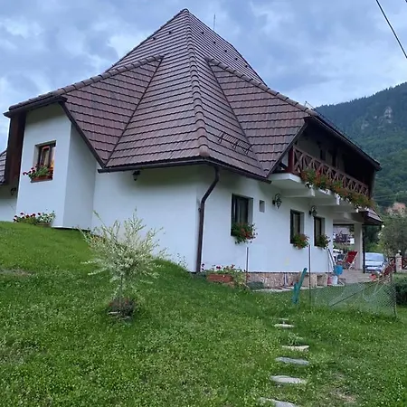 Pensiunea Dealul Cu Melci * Alsóvidra